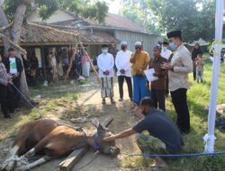 Idul Adha 1441 H, Polres Serang Kota Berkurban