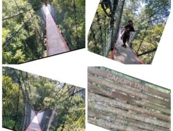 Canophy Trail Jembatan Gantung Yang Tersembunyi Di Gunung Gede Pangrango