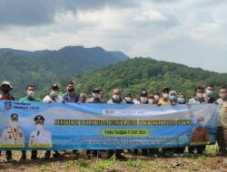 Peringatin Hari Lingkungan Hidup, DLH Kabupaten Serang Lakukan Penanaman Pohon Di Puncak Gunung Pilar