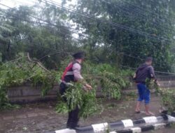 Respon Cepat, Satsamapta Polres Serkot Polda Banten Tangani Pohon Tumbang