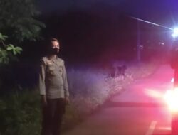 Piket Wilayah Perbatasan oleh Anggot Polsek Ciomas Polresta Serkot