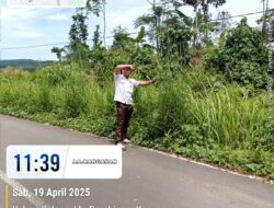 Aktivis GMBI Distrik Lebak, pertanyakan Anggaran Perawatan Jalan, Kabupaten Yang Diduga Tidak Terealisasikan