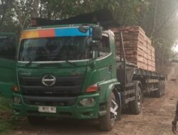 Diduga Overload Aktifis Lebak Sesalkan PT.Cipari Gunakan Mobil Tronton Mengangkut Kayu Hasil Tebangan