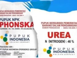 Hak Jawab Pemilik Kios Resmi Hj Sarmedi Atas Pemberitaan Dari Salah Satu Media Online