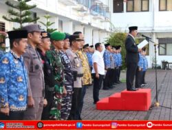 Pemko Gunungsitoli Laksanakan Upacara Hari Kebangkitan Nasional Tahun 2025