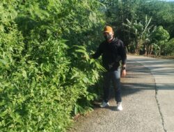 LSM GERAHAMTARA Kabupaten Lebak, Pertanyakkan Anggaran Perawatan Jalan, Poros Kabupaten Yang Diduga Tidak Terealisasikan