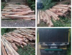 Diduga Pembalakan Kayu Liar Dikawasan Perhutani Di Wilayah Desa Parakanlima Blok Cigalimbang