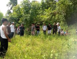 Masyarakat Desa Tetegeona’ai Padati Lahan Ketapang Saat Pembukaan