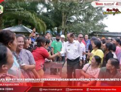 WAKIL BUPATI NIAS MENINJAU GERAKAN PANGAN MURAH (GPM) DI PEKAN HILIWETO GIDO