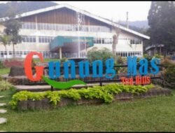 Kerjasama Operasional Sudah Berizin di Cisarua, Diharapkan PTPN Harus Bela dari Ultimatum KLH