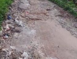 Jalan Rusak dan Sampah Berserakan di Desa Pasirnangka, Ketua Ormas GPN 08 Kecewa Berat