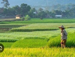Hak Jawab Dan Hak Koreksi Pemilik Kios Pupuk Bersubsidi Di Kecamatan Bojongmanik Atas Dugaan Pelanggaran HET Hanya Simpang Siur