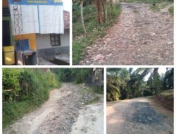 Diduga Anggaran Pemeliharaan Jalan Poros Desa Jayamanik Fiktif, Kades Pilih Bungkam