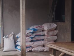 Oknum Anggota Kelompok Tani Diduga Jual Pupuk Subsidi di Atas HET, Petani Kecil Teriak Dan Kesulitan