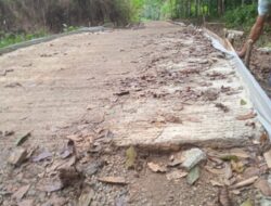 Pembangunan Jalan Poros Desa Rabat Beton Kp Hurugading Desa Gunung Gede Diduga Asjad (Asal Jadi) Sangat Tipis Dan Tidak Ada Kekuatan
