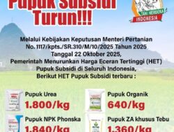 Wow..!! Pemilik Kios Pupuk Bersubsidi Menjual Lebih Dari Harga Eceran Tertinggi HET Dan Merasa Kebal Hukum