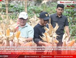 PANEN PERDANA JAGUNG DI DESA SISOBALAURU, BUPATI NIAS APRESIASI KEBERHASILAN PROGRAM KETAHANAN PANGAN