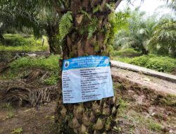 Proyek Pembangunan Jalan Poros Kabupaten Rabat Beton Di Desa Margaluyu Diduga Tidak Sesuai Dan Tidak Transparan