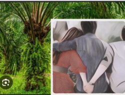 Diduga Mandor Besar Inisial PN Berselingkuh Dengan Kariawannya Yang Masih Punya Suami, Pihak Perusahaan Diminta Pecat Oknum Tersebut