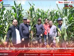 BUPATI NIAS & KETUA DPRD TINJAU LAHAN KETAHANAN PANGAN DI DESA SISARAHILI BAWOLATO