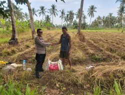 Kapolsek Labuan berikan bantuan pupuk untuk petani Jagung