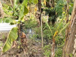 Diduga Limbah Dapur MBG Cemari Lingkungan, Warga PSB Cimarga Keluhkan Dampak Kesehatan